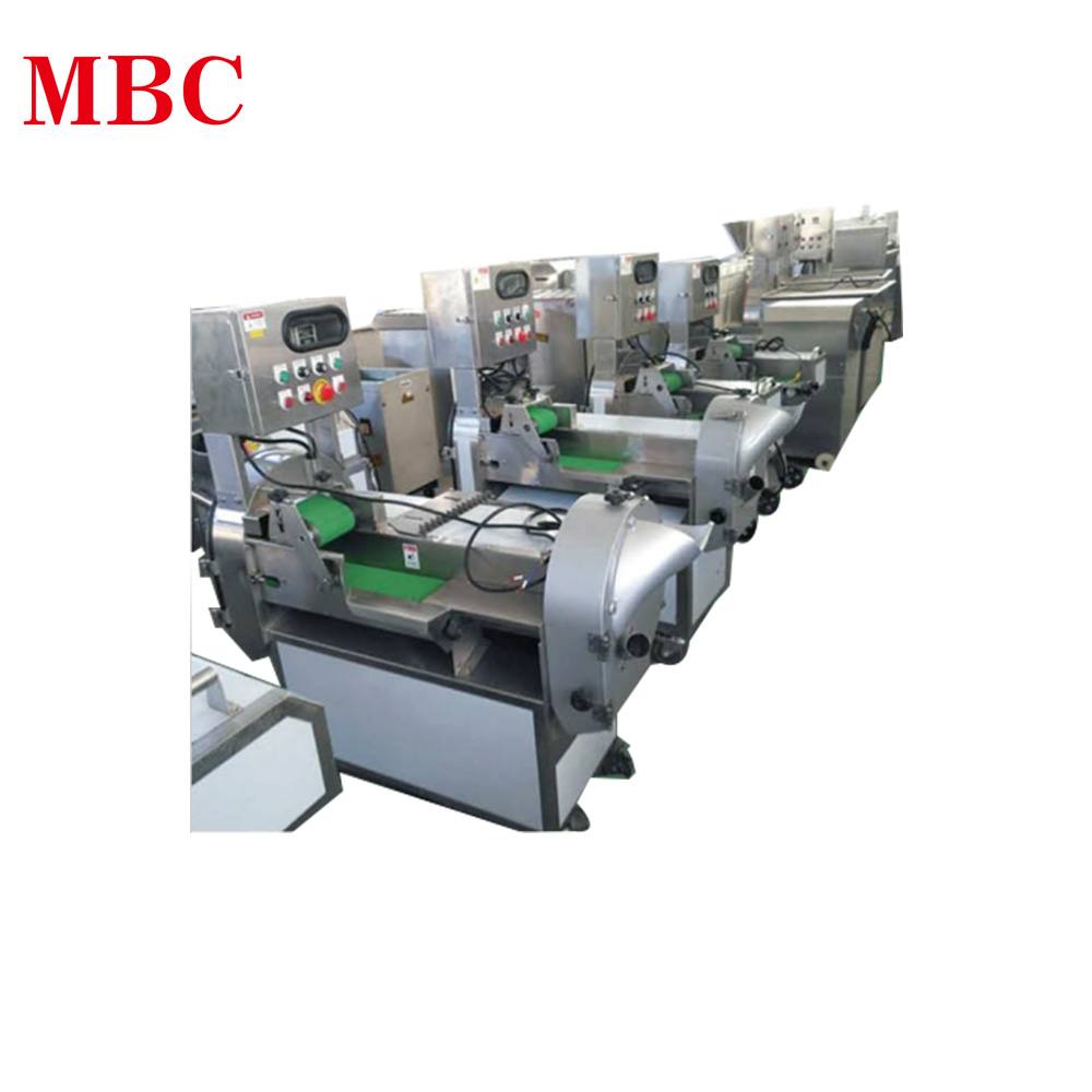 Vegetable & Fruits Multi-Functional Cutting Machine