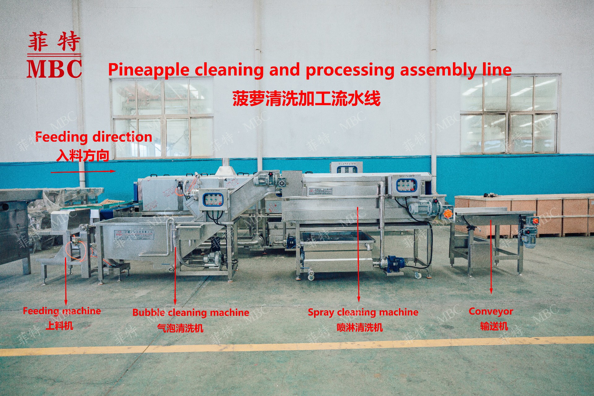 Pineapple washing processing production line