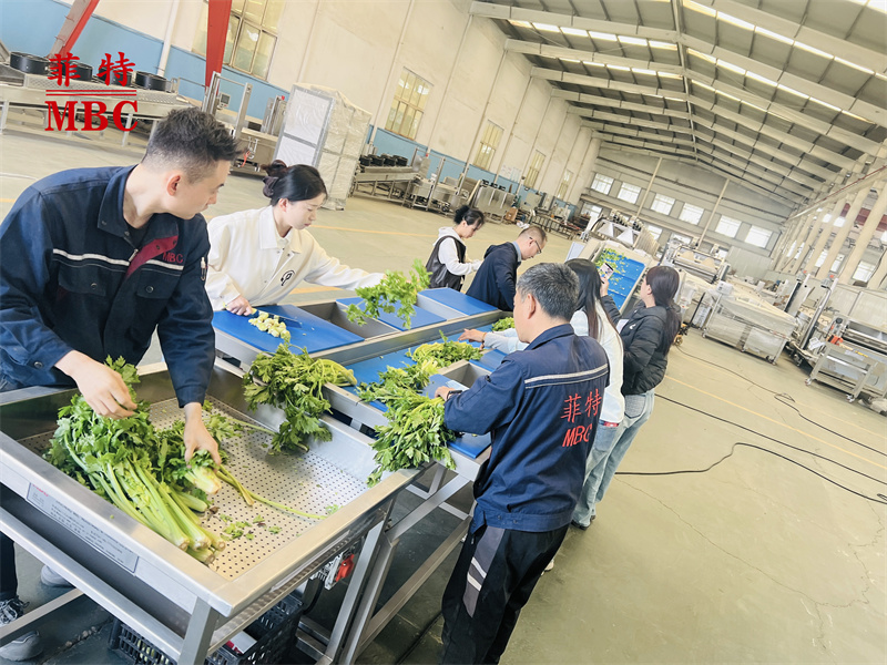 Vortex cleaning production line
