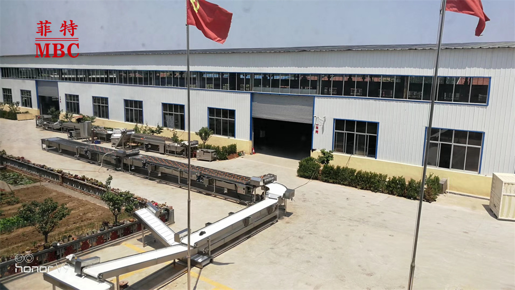 Cucumber Processing Production Line