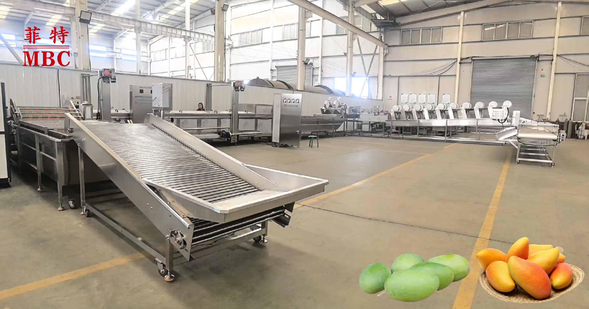 Mango hot water treatment (HWT) processing equipment