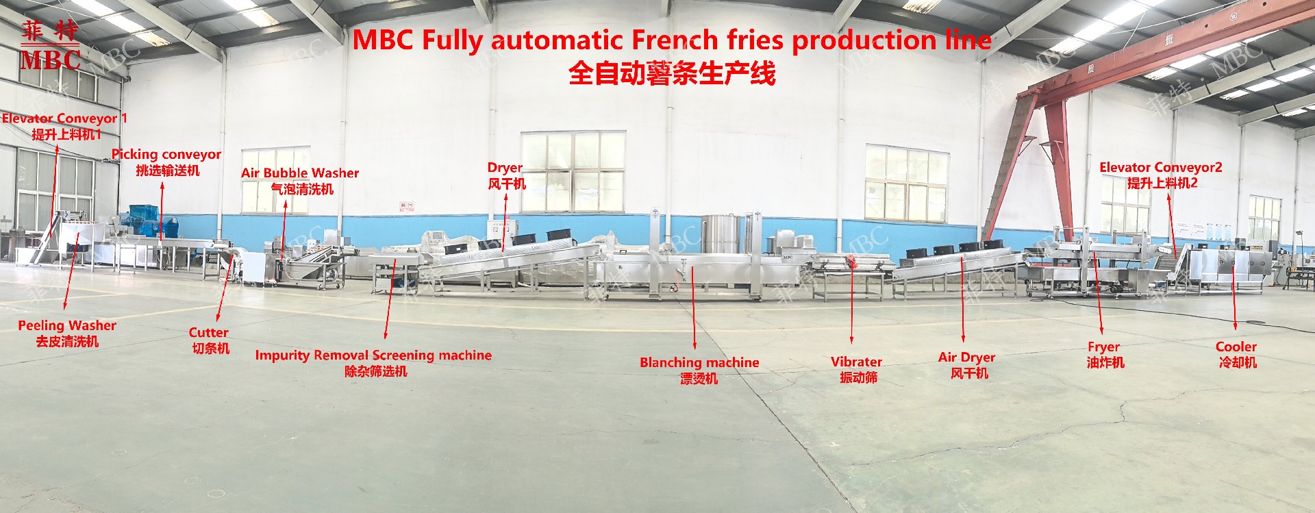 French Fry Production Line