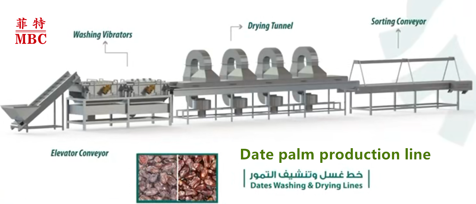 Date washing and drying line